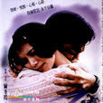 新不了情(2002年劉漢強主演電視劇) 新不了情(2002年劉漢強主演電視劇)