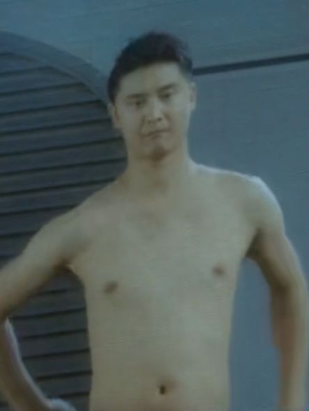 鄭軍(動作喜劇片《不二神探》中的角色) 鄭軍(動作喜劇片《不二神探》中的角色)