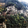 靈岩寺博物館 靈岩寺博物館