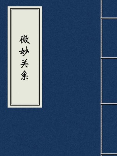 微妙關係(小說) 微妙關係(小說)