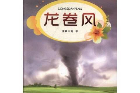 龍捲風(2013年花山文藝出版社出版的圖書)