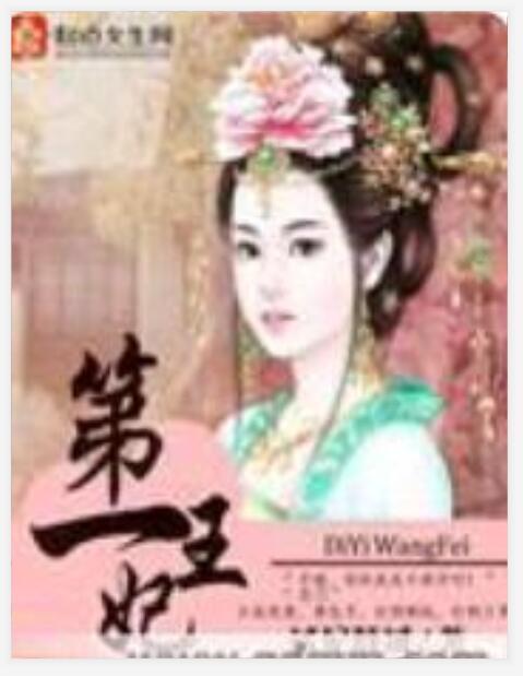 第一王妃(小說) 第一王妃(小說)