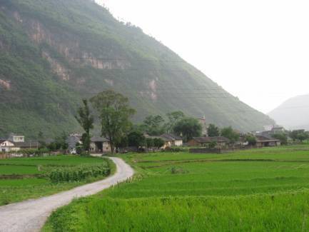 秤架村 秤架村