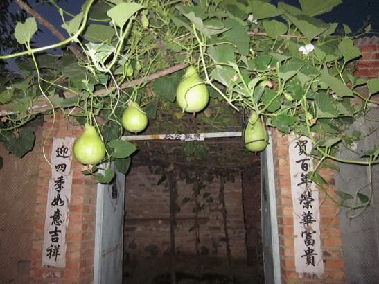 小南園村 小南園村