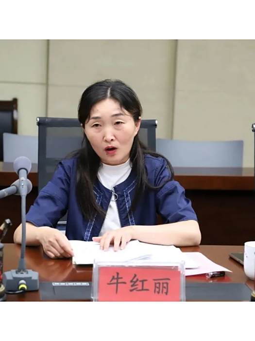 牛紅麗(河南省人大代表、確山縣中醫院黨支部書記) 牛紅麗(河南省人大代表、確山縣中醫院黨支部書記)