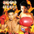 2009年中國功夫VS職業泰拳爭霸賽