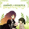 connect essence