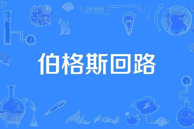 伯格斯迴路 伯格斯迴路
