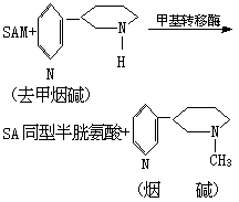 生物轉化