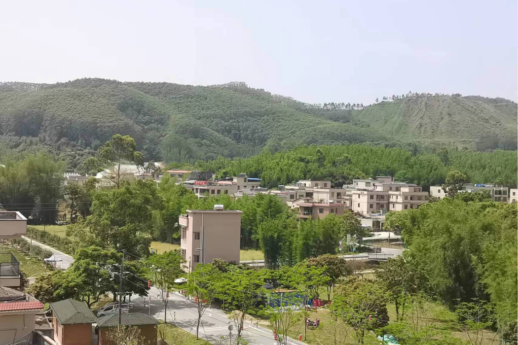 心田村(廣州市黃埔區新龍鎮麥村村下屬自然村) 心田村(廣州市黃埔區新龍鎮麥村村下屬自然村)