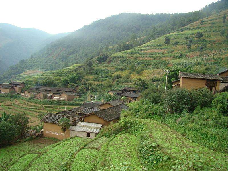 大竹茂村 大竹茂村