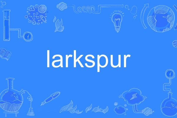 larkspur larkspur