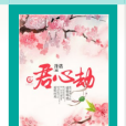 君心劫(小說) 君心劫(小說)