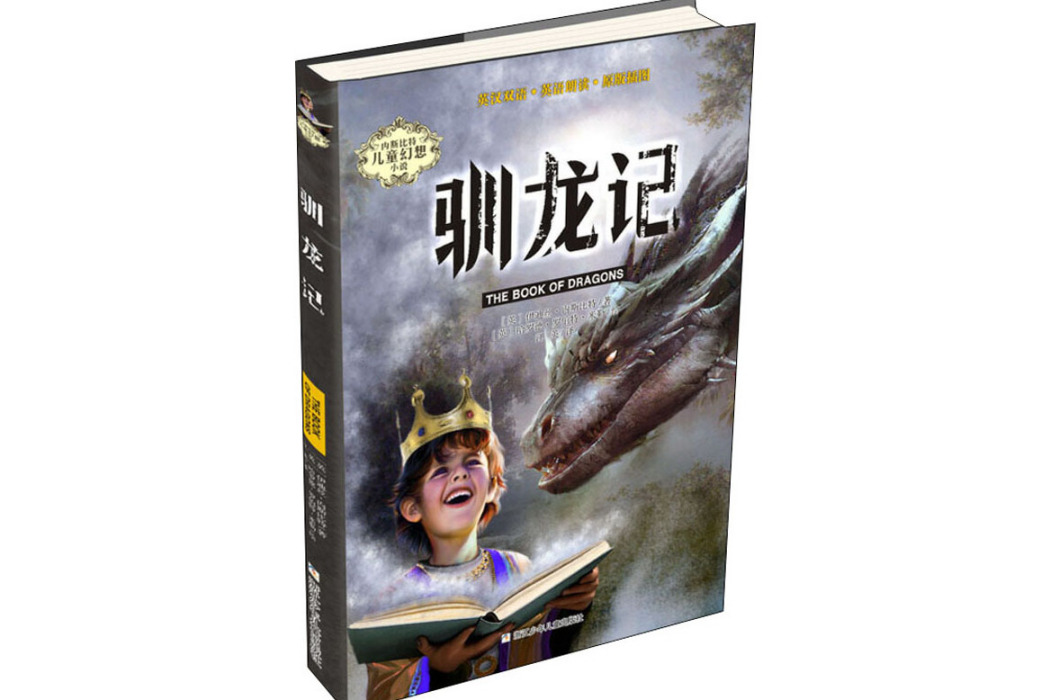 馴龍記(2019年浙江少年兒童出版社出版的圖書) 馴龍記(2019年浙江少年兒童出版社出版的圖書)