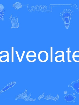 alveolate alveolate