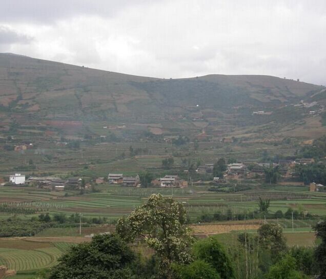 上土坡村 上土坡村