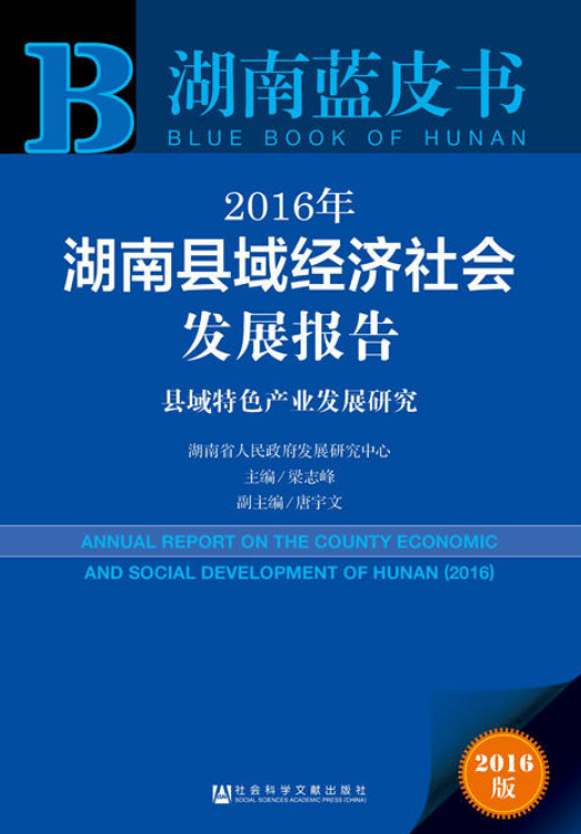 2016年湖南縣域經濟社會發展報告
