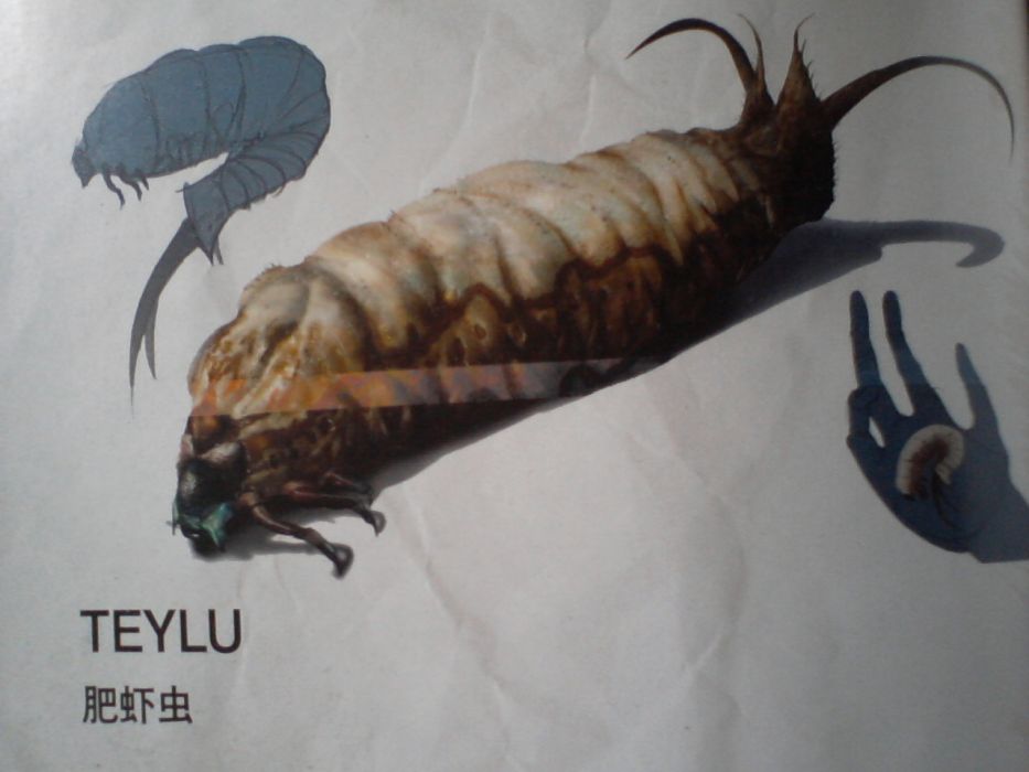 肥蝦蟲 肥蝦蟲