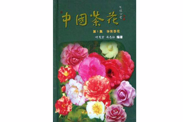 中國茶花 中國茶花