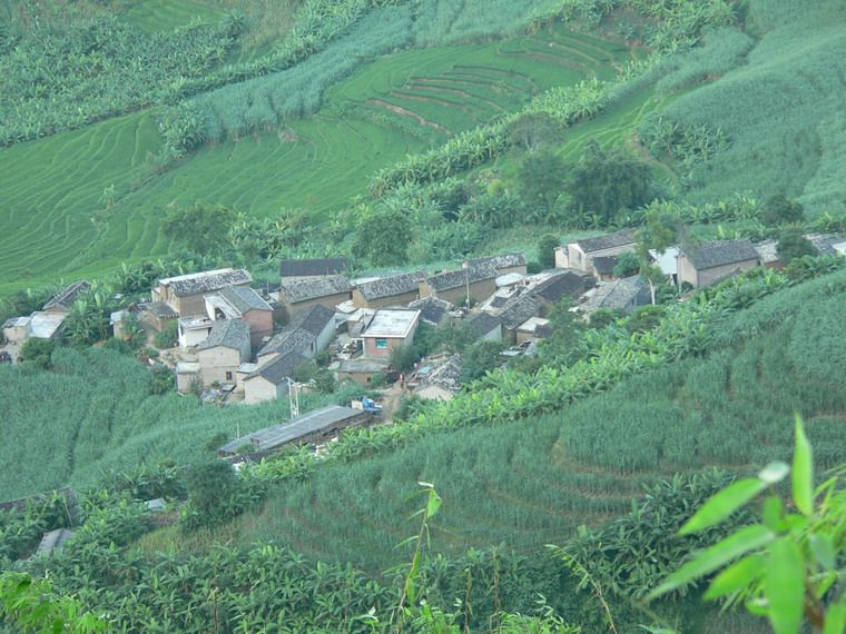 老龍寨村 老龍寨村