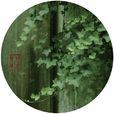 野有蔓草(《詩經·鄭風》第20篇) 野有蔓草(《詩經·鄭風》第20篇)