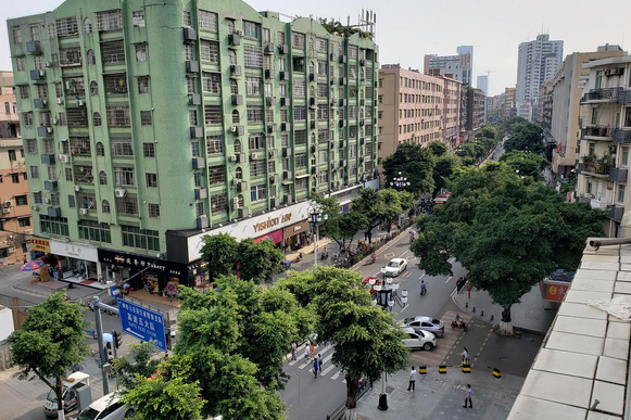 大沙地東路 大沙地東路