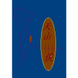 天山四俠