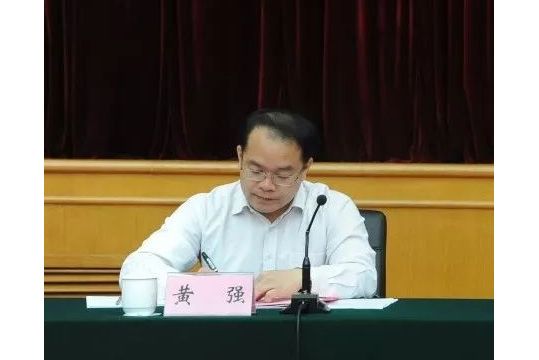 黃強(廣西電力職業技術學院紀委書記) 黃強(廣西電力職業技術學院紀委書記)