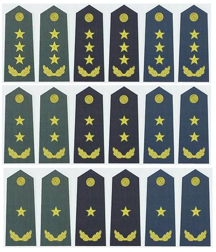 陸海空軍將官常服肩章（2007-）