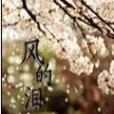風的淚(網路小說) 風的淚(網路小說)
