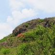 堂庭山 堂庭山