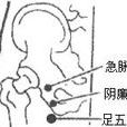 足五里 足五里