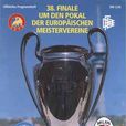 1993年歐洲冠軍聯賽決賽