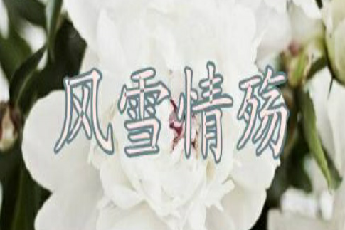 風雪情殤 風雪情殤
