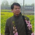 牛耕地 牛耕地