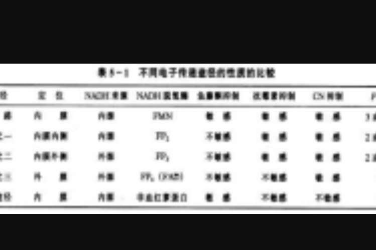 交替途徑