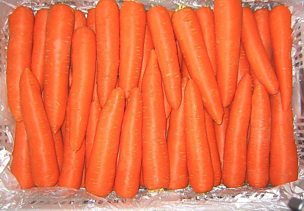 木龍觀紅蘿蔔