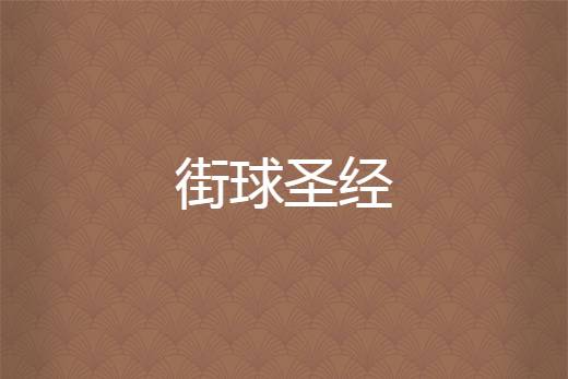街球聖經 街球聖經