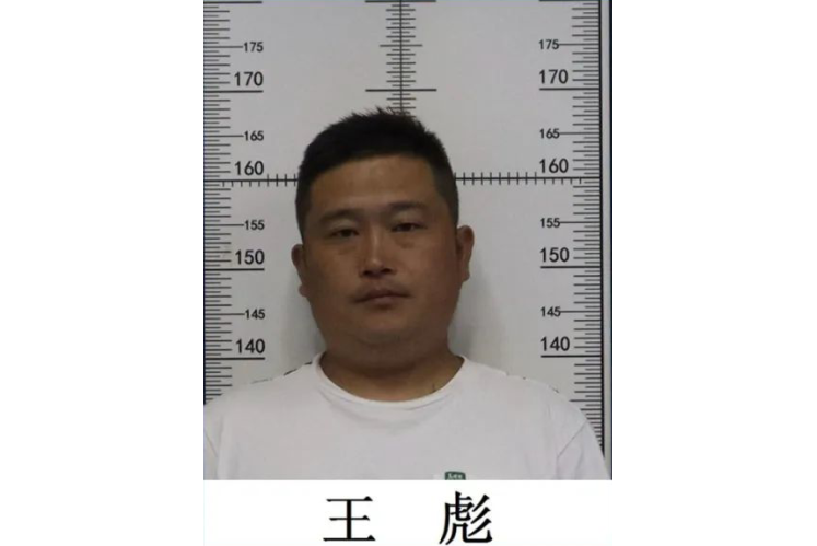 王彪(違法犯罪團伙主要犯罪嫌疑人) 王彪(違法犯罪團伙主要犯罪嫌疑人)