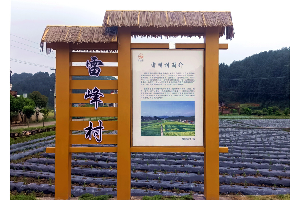 雷峰村(湖南省邵陽市隆回縣羊古坳鎮下轄村) 雷峰村(湖南省邵陽市隆回縣羊古坳鎮下轄村)