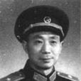 楊世榮(雲南軍區後勤部原政委)