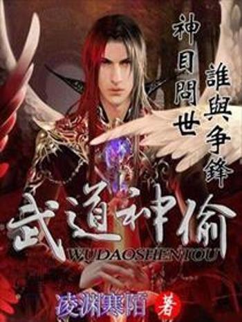 武道神偷 武道神偷