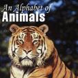 Alphabet of Animals(Bowker, John著圖書) Alphabet of Animals(Bowker, John著圖書)