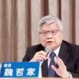 魏哲家 魏哲家