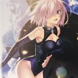 FGO VR FGO VR