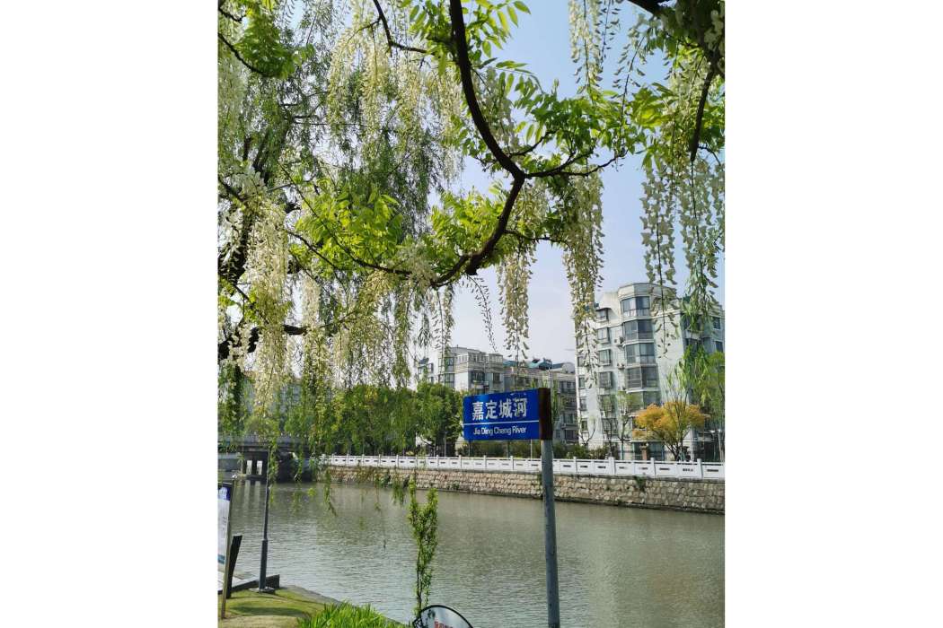 嘉定城河 嘉定城河