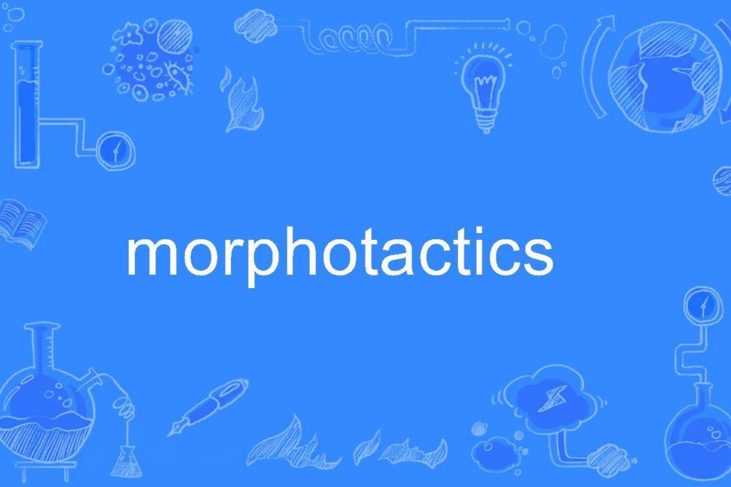 morphotactics morphotactics