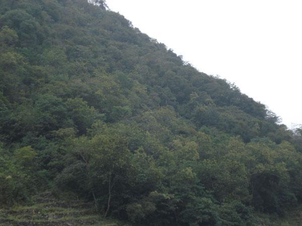 大落洞村 大落洞村