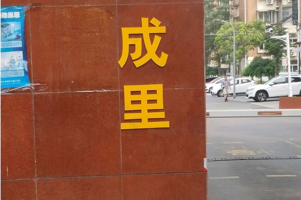 柳成里 柳成里