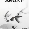 雙神戰天下